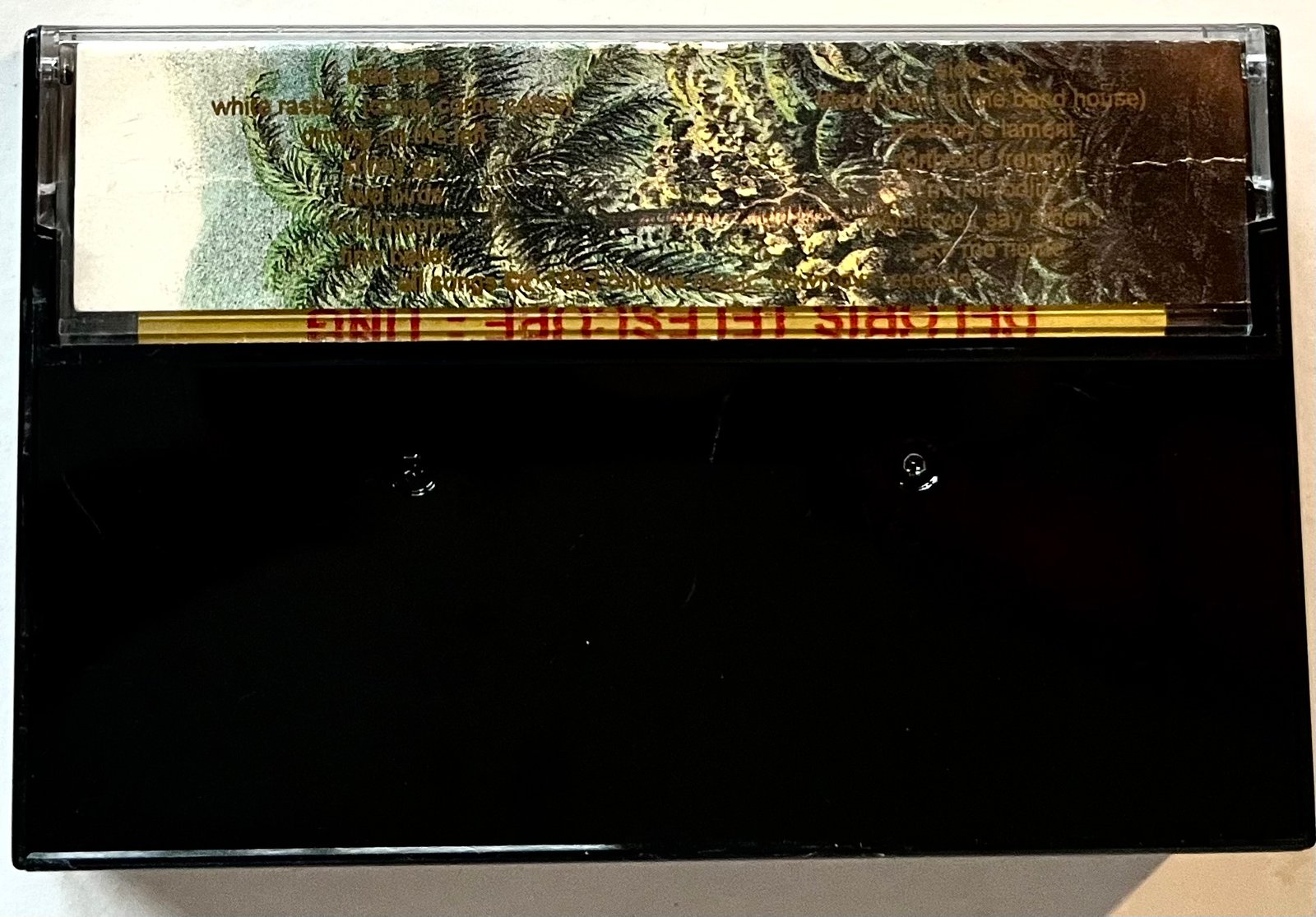 Cover Back
